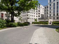 this is a brick walkway and trees in front of a building with white buildings in the background