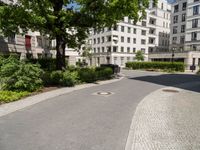 this is a brick walkway and trees in front of a building with white buildings in the background