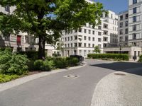 this is a brick walkway and trees in front of a building with white buildings in the background