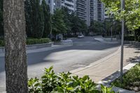 a car driving down an empty street lined with tall buildings and trees in the background