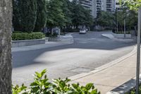 a car driving down an empty street lined with tall buildings and trees in the background