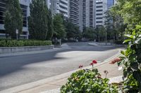 a car driving down an empty street lined with tall buildings and trees in the background