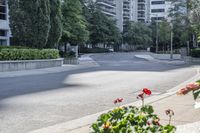 a car driving down an empty street lined with tall buildings and trees in the background