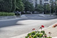 a car driving down an empty street lined with tall buildings and trees in the background