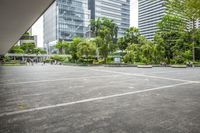 Residential Area on a Sunny Day: Open Space and Trees