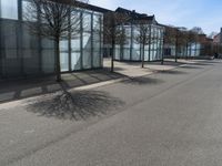 Residential Area: Day, Tree, Facade, Window