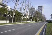 a lone empty street near the buildings and trees in a residential area in the city