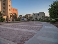 Residential Area in Egypt at Dawn with Palm Trees