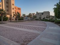 Residential Area in Egypt at Dawn with Palm Trees