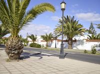 Residential Area in Fuerteventura with Classic Architecture and Palm Trees 001