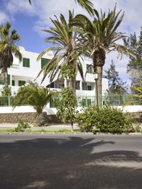 there are palm trees and white buildings in front of the street corner and on the sidewalk