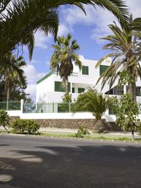 there are palm trees and white buildings in front of the street corner and on the sidewalk