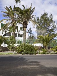 there are palm trees and white buildings in front of the street corner and on the sidewalk