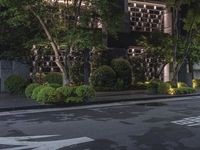 Residential Area with Green Grass and Trees in Daylight