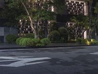 Residential Area with Green Grass and Trees in Daylight