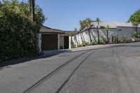 two street signs on each side of a road in front of a house with trees and palm