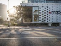 Residential Area in Los Angeles: Autumn Vibes
