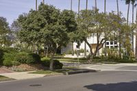 Residential Area in Los Angeles, California, USA