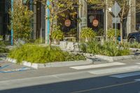 Residential Area in Los Angeles: A Daytime View