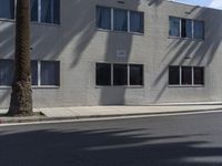 a view of a building from the street with trees in front of it and a fire hydrant on the sidewalk