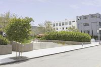 Residential Area in Los Angeles: Green Grass and Trees