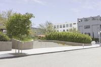 Residential Area in Los Angeles: Green Grass and Trees
