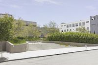 Residential Area in Los Angeles: Green Grass and Trees