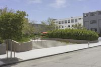 Residential Area in Los Angeles: Green Grass and Trees