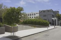 Residential Area in Los Angeles: Green Grass and Trees
