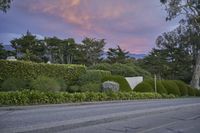 a street next to a park with many trees in front of it at dusk and a few bushes along the side