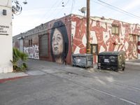 Residential Area Los Angeles Street Art 003