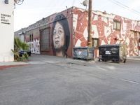Residential Area with Los Angeles Street Art 005