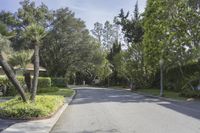 an empty street in a residential neighborhood with palm trees and grass on both sides of the street