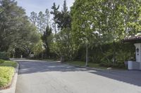 an empty street in a residential neighborhood with palm trees and grass on both sides of the street