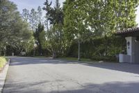 an empty street in a residential neighborhood with palm trees and grass on both sides of the street