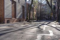 a crosswalk is near a tree and building with tall windows in the background of this residential area