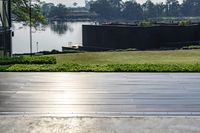 Residential Area Surrounded by Nature: Trees and Ocean Views