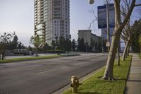 Residential Area: A Neighborhood with Green Grass and Trees