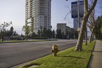 Residential Area: A Neighborhood with Green Grass and Trees