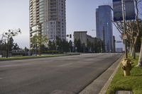 Residential Area: A Neighborhood with Green Grass and Trees