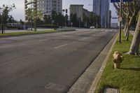 Residential Area: A Neighborhood with Green Grass and Trees