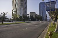 Residential Area: A Neighborhood with Green Grass and Trees