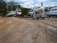 Residential Area in New South Wales: Tree and Cloud Views