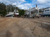 Residential Area in New South Wales: Tree and Cloud Views