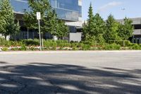 Residential Area in Ontario: Enjoy the Clear Sky