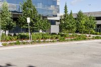 Residential Area in Ontario: Enjoy the Clear Sky