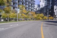 Residential Area in Ontario: A Day in Autumn