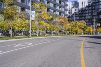 Residential Area in Ontario: A Day in Autumn