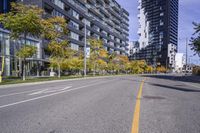 Residential Area in Ontario: A Day in Autumn