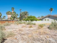 a view of a home on a vacant lot with the sky in the background, there are palm trees and some bushes on the ground